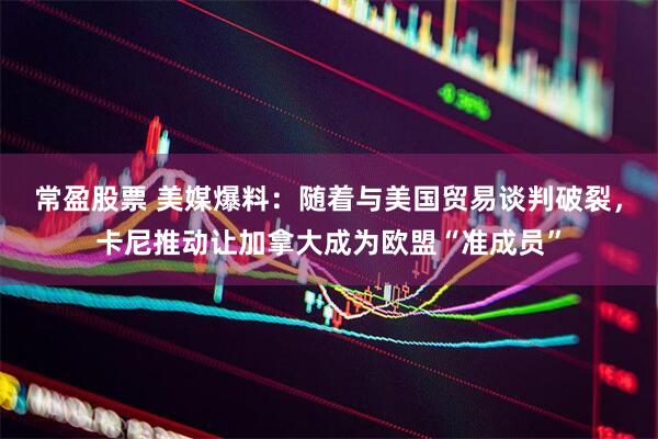 常盈股票 美媒爆料：随着与美国贸易谈判破裂，卡尼推动让加拿大成为欧盟“准成员”