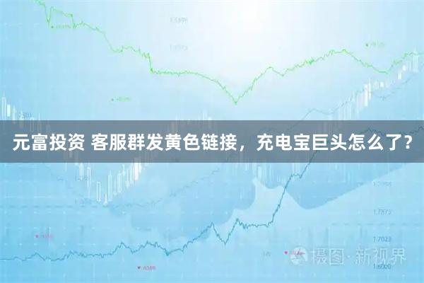 元富投资 客服群发黄色链接，充电宝巨头怎么了？