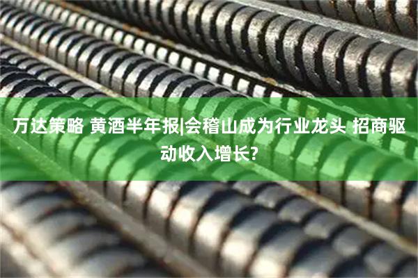 万达策略 黄酒半年报|会稽山成为行业龙头 招商驱动收入增长?